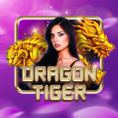 Dragon Tiger at 789 bet bingo