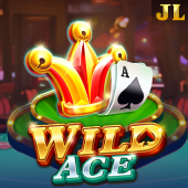 Wild Ace at 789 bet bingo